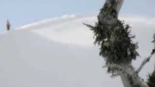 Snowboard Best Extreme