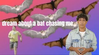 Interpretation of a dream about a bat chasing me