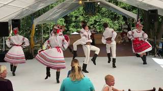 "ДРІБОНЬКИ" Yunist Dance Ensemble at St. Volodymyr Ukrainian Festival 2019