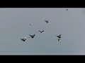 Полеты на Марганецком голубедроме  10 05  22г