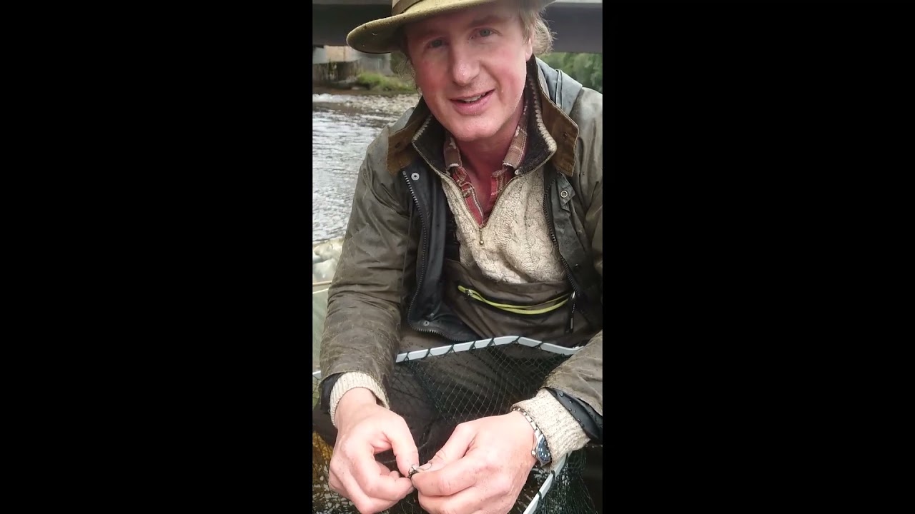 Two big salmon from the South Esk