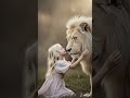 #music lions and cute baby girl 💗😍