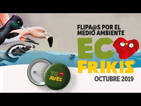 Video: Habitante discreto de los campos - aguilucho estepario