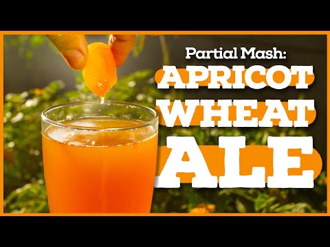 PARTIAL MASH BREWING - Beginner's Guide [Apricot Wheat Beer Recipe]
