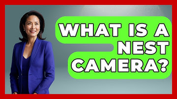 What Is A Nest Camera? - Bird Watching Diaries