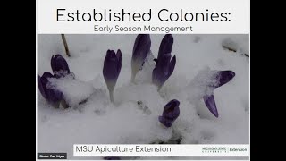 Established Colonies: Early Season Management