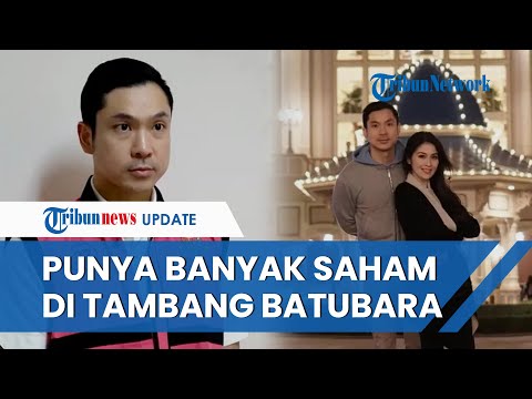 Sumber Kekayaan Harvey Moeis Suami Sandra Dewi yang Jadi Tersangka Korupsi Timah, Punya Banyak Usaha