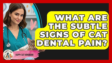 What Are The Subtle Signs Of Cat Dental Pain? - Happy Cat Handbook