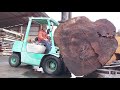 #40【製材】3トンの巨木！！！椨（タブ）:前編　3 tons of giant tree!! machilus thunbergii :first part