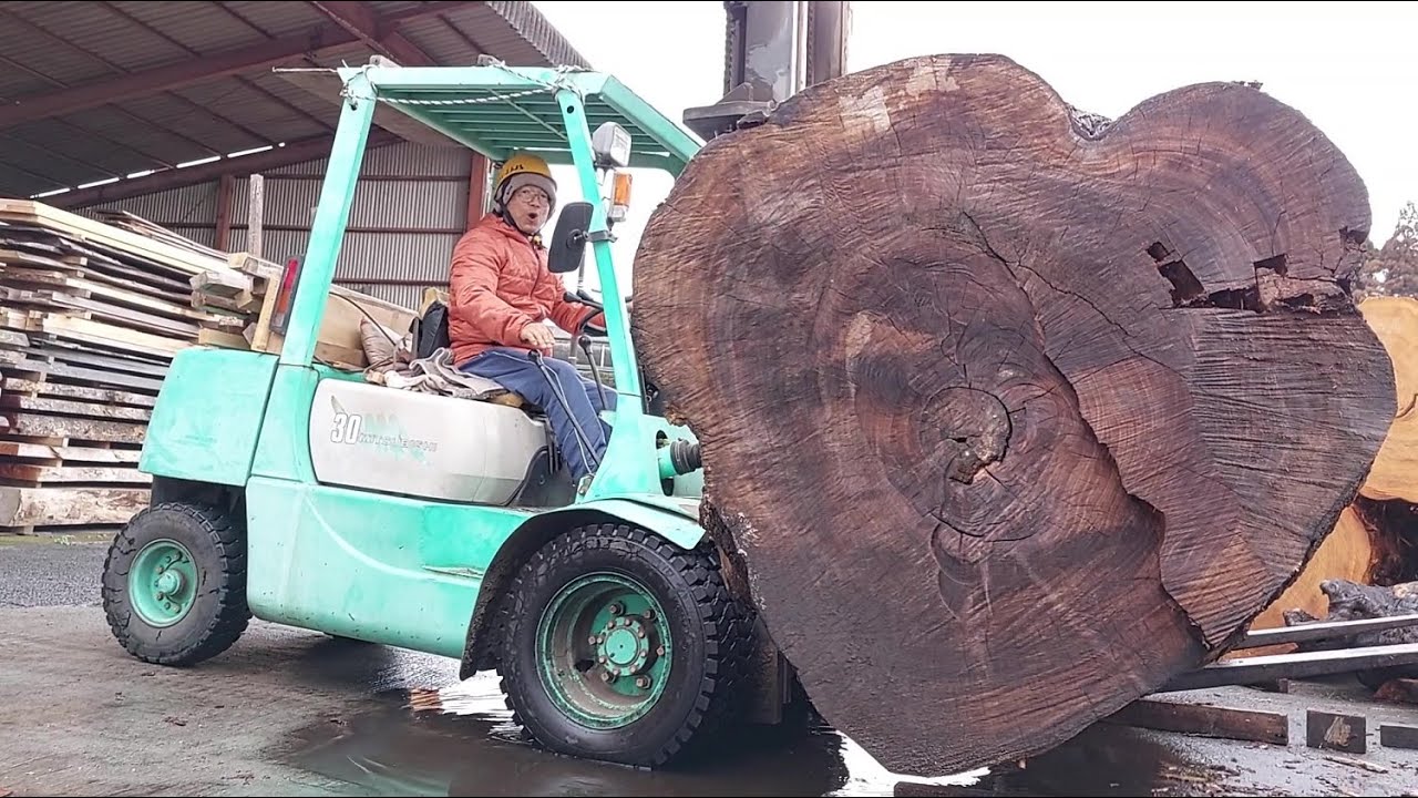 #40【製材】3トンの巨木！！！椨（タブ）:前編　3 tons of giant tree!! machilus thunbergii  :first part