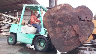 #40【製材】3トンの巨木！！！椨（タブ）:前編　3 tons of giant tree!! machilus thunbergii :first part