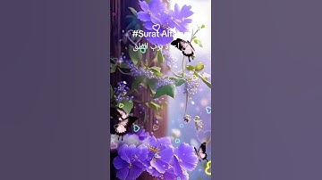 Surat Alfalaq قل اعوذ برب الفلق #قرآن #تلاوة_القرآن #duaislam #اكسبلور #دويتو