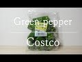 Vegetables [costco] green pepper コストコ 宮崎県産 ピーマン たっぷり使える500ｇ ピーマンの肉詰めにも！