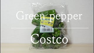 Vegetables [costco] green pepper コストコ 宮崎県産 ピーマン たっぷり使える500ｇ ピーマンの肉詰めにも！