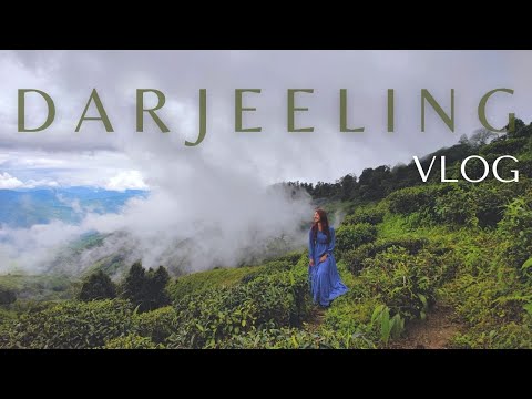 Darjeeling Vlog - 48 Hours In Darjeeling - Where To Eat, Stay & What To See | Ep 3 | Jinal Inamdar