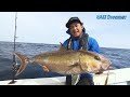 SALT Dreamer#074 鹿児島県種子島 カンパチ ジギング の動画、YouTube動画。