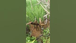 Wow Aliran Air Yang Bisa Bunyi Bambu air