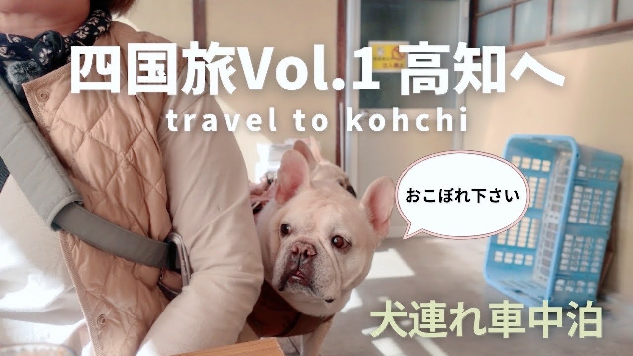 四国旅No1/高知へ/ 車中泊/ 犬連れ旅