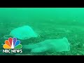 Discarded Coronavirus PPE Ending Up In The Ocean | NBC News NOW