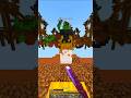 Minecraft Bedwars(tas)