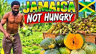 LOOK AT JAMAICA! 🇯🇲 FARMING. COUNTRYSIDE & SPALDING TOWN