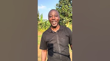 In times of trouble - William Ngabo