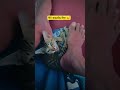 а а ђа а Ља а ёа Љ а ља а єа а Ља а а ђа а Їа љ а ља ёа ља Љ а а 🥠🥲 Cat а а ђа а Ља а ёа Љ а ља а єа а Ља а а ђа а Їа љ а ља ёа ља Љ а а 🥠🥲 Cat