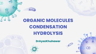 ORGANIC MOLECULES | CONDENSATION | HYDROLYSIS | PART-03