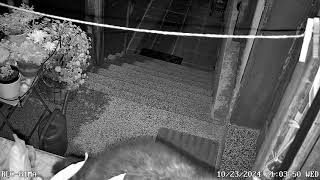 Hof 1 Rlc 81Ma 20241023210350