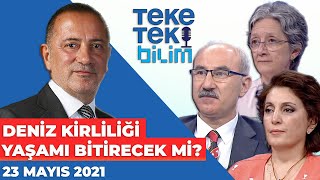 Deniz kirliliği yaşamı bitirecek mi? Marmara Denizi neden alarm veriyor? -  Teke Tek Bilim