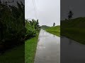 Walking Through a Beautiful Village After Heavy Rain: Peaceful and Calm #greenvillage #nature #rain