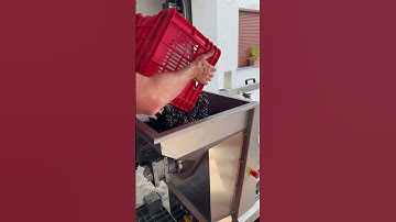 Ever wondered what’s happening inside the destemmer? 🍇