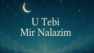 U Tebi Mir Nalazim | Ilahija o vjeri i smirenju