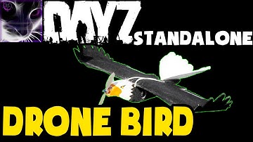 DayZ Standalone ► Drone Bird Glitch .. when you get turned into a bird!