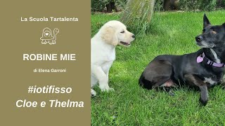 Cloe e Thelma