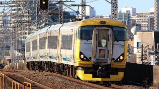 E257系 NB-01編成(50周年ラッピング)団体臨時列車「わかしお•さざなみ50周年 乗務員体験付き！房総1日日帰りツアー」号通過　小岩駅にて　9171M