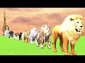 Paint Animals Gorilla Cow Lion Elephant Dinosaurs Fountain Crossing Animal Cartoon