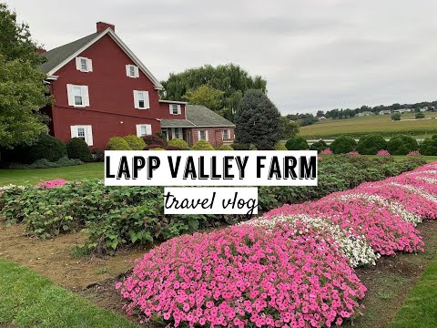LAPP VALLEY FARM