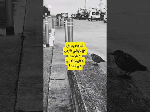و الروح تعاني في كمد كلمات اكسبلور اقنباسات كلمه خواطر كلمة اقتباس الروح الجسد الأرض