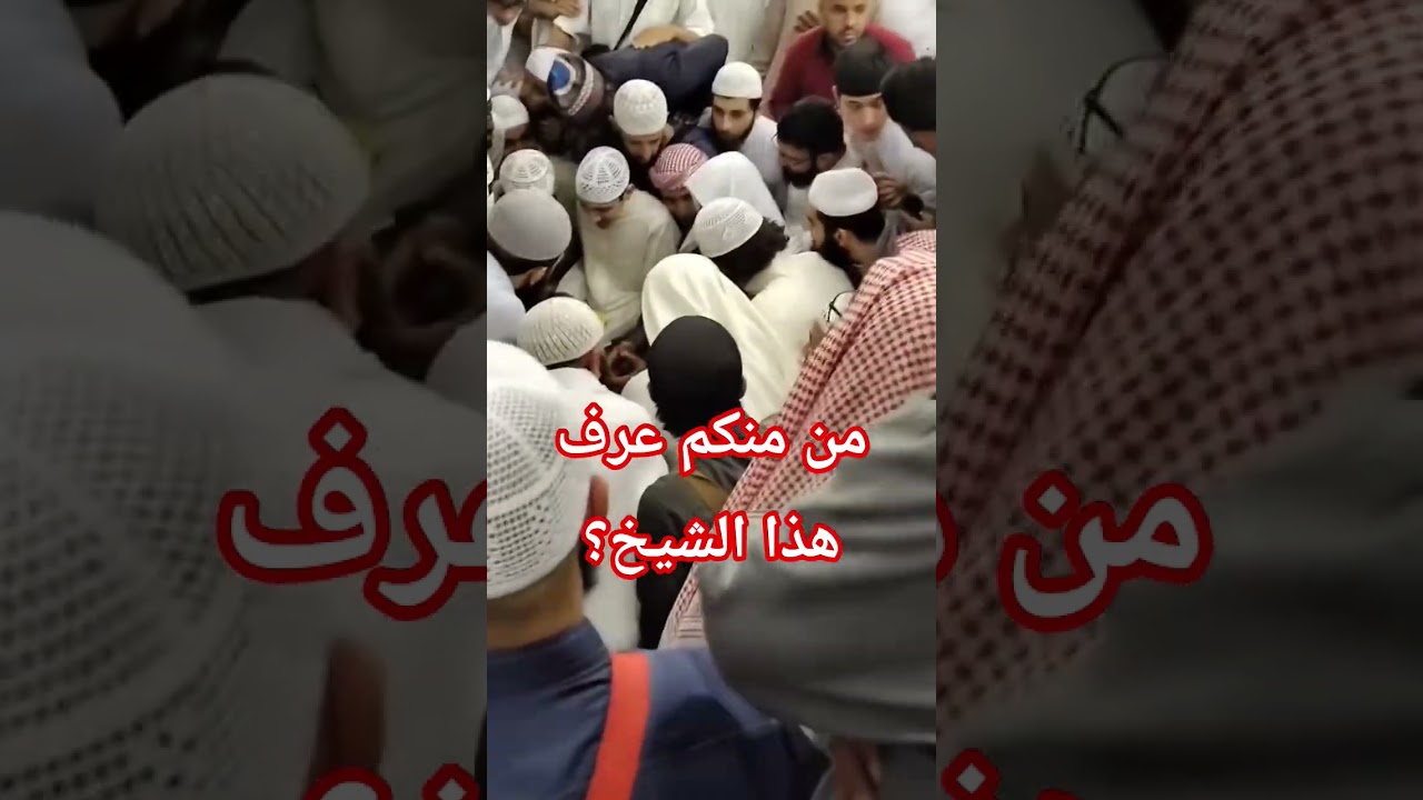 ريحانة المدينة