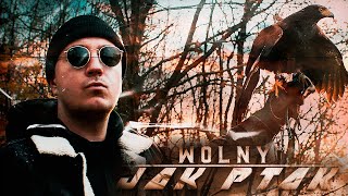 ZBUKU - Wolny Jak Ptak (prod. Json) Resimi