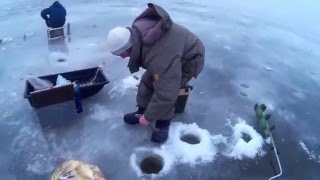 Видео Korsaka_Fish январь 2016