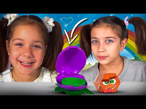 დანიელა VS ემილია ჩელენჯი! ვინ მოიგო შაპიტო?