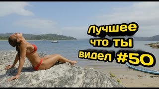 Подборка приколов №50 😂😂 | Видео приколы подборка | приколы с животными | Best Coub Compilation