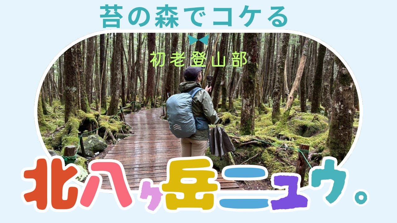 初老登山部　北八ヶ岳ニュウ　苔の森でコケる　雨の山行初体験