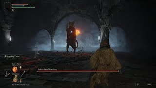 ELDEN RING: The Birth of the First Aspect of Syllis Green