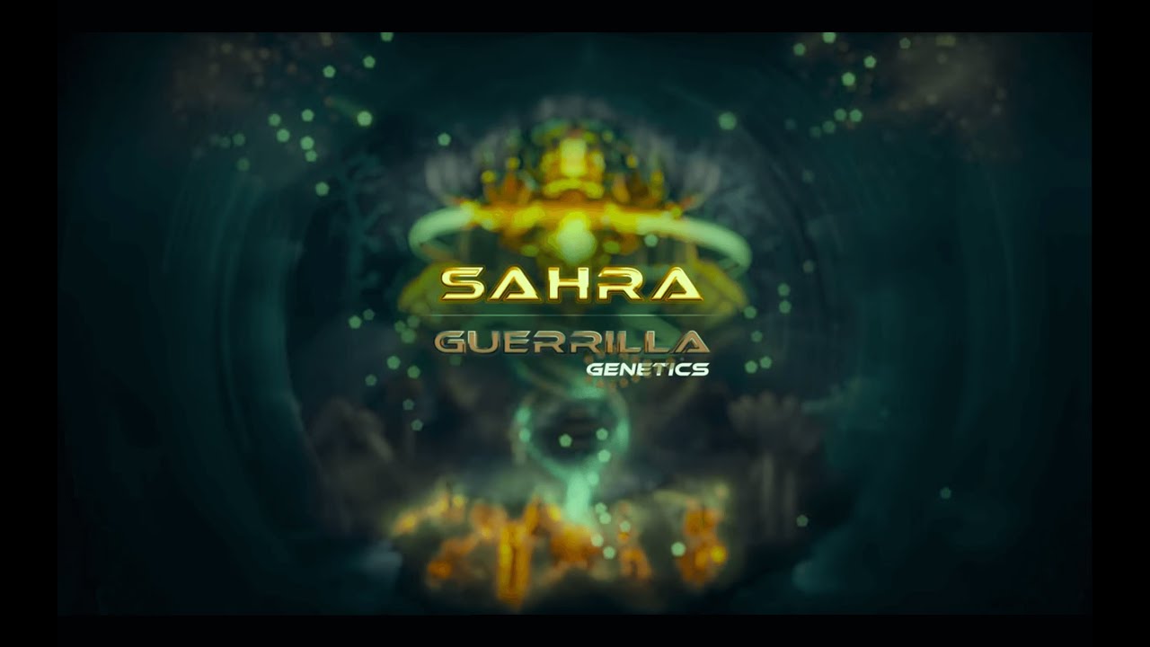 YouTube पर Guerrilla - Sahra देखें