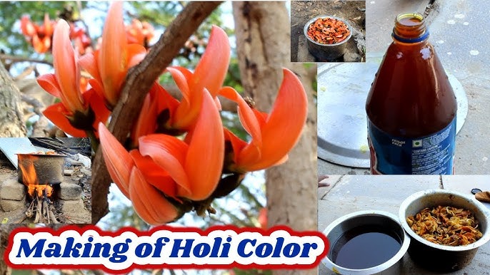 How To Make Holi Colors at Home🌸