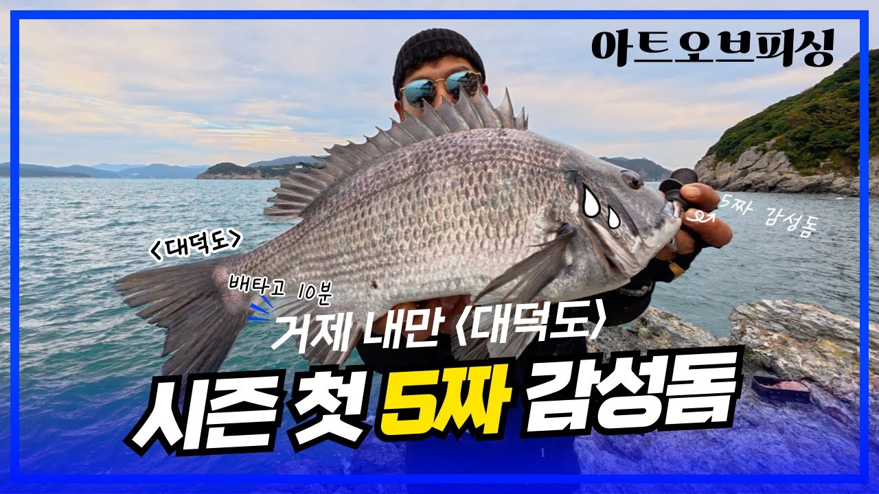 25년 시즌 첫 5짜 감성돔 거제 내만 대덕도(11월 14일)