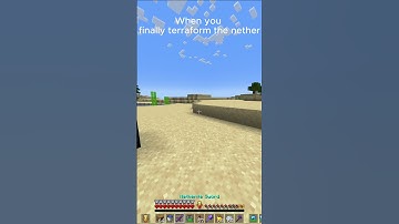 When You Finally Terraform The Nether  #minecraft #minecraftmeme #blueshirtguy